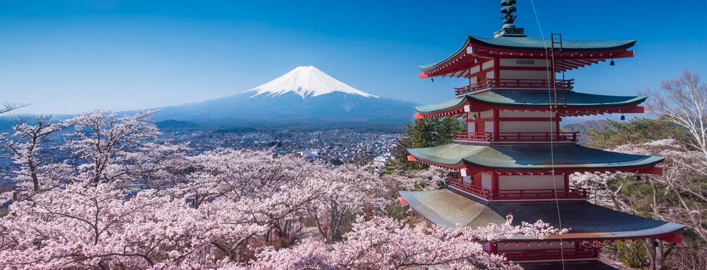 Japonya Tokyodan Kyotoya Gelenek Teknoloji ve Uzak Doğu Kültürü