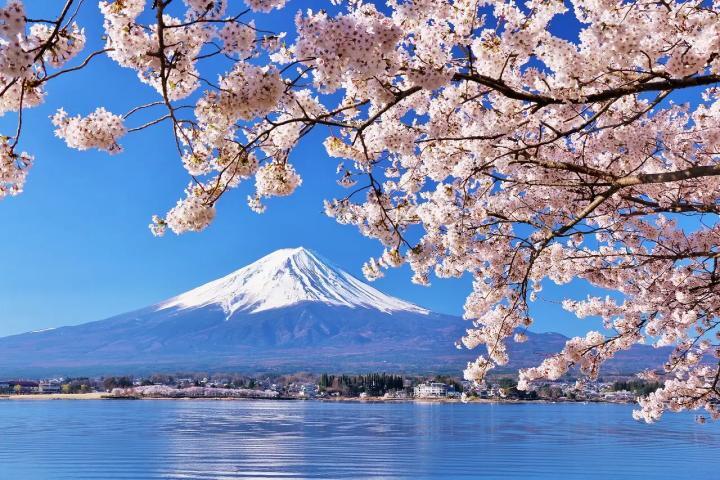 Japonya'da Gezilecek Yerler: Gelenek, Teknoloji ve Doğanın Kusursuz Uyumu