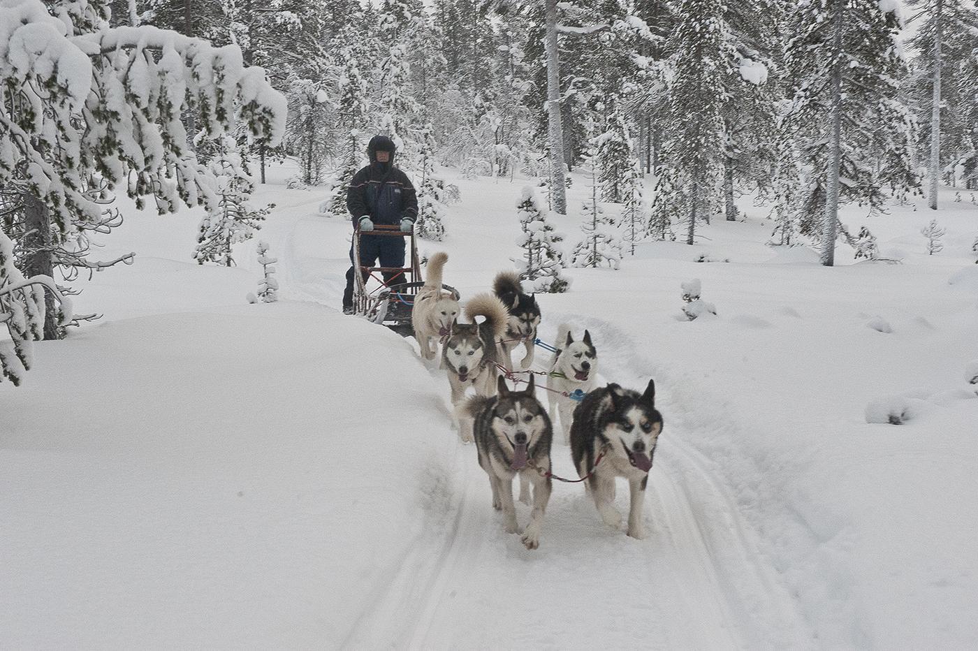Kışın En Büyülü Rotası: Lapland ve Noel Baba'nın Dünyası