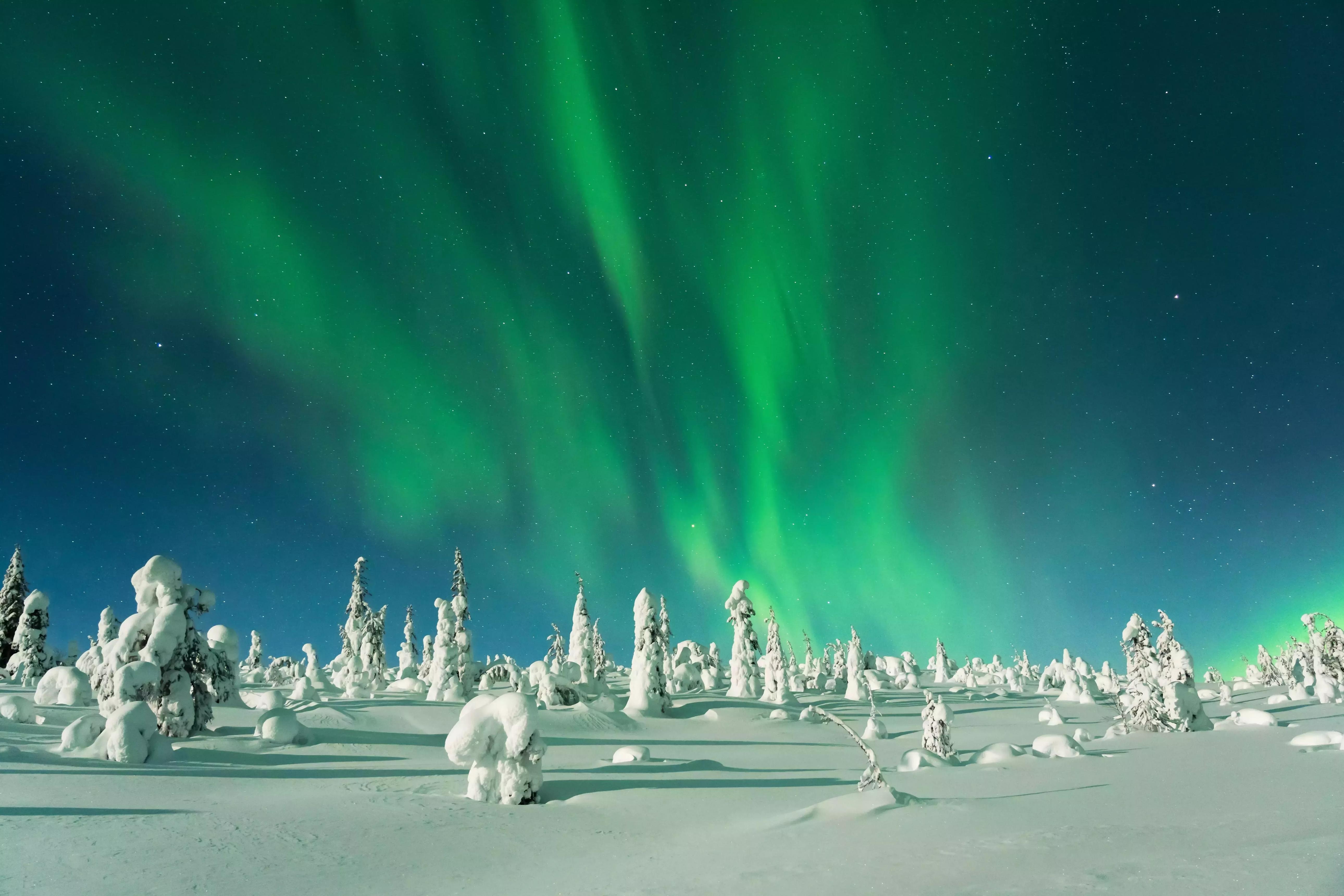 Lapland Gezisi: Kuzey Işıkları, Noel Baba Köyü ve Arktik Maceralar