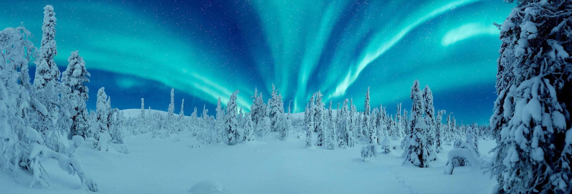 Lapland Rovaniemi Kuzey Işıkları ve Kuzey Kutup Dairesi