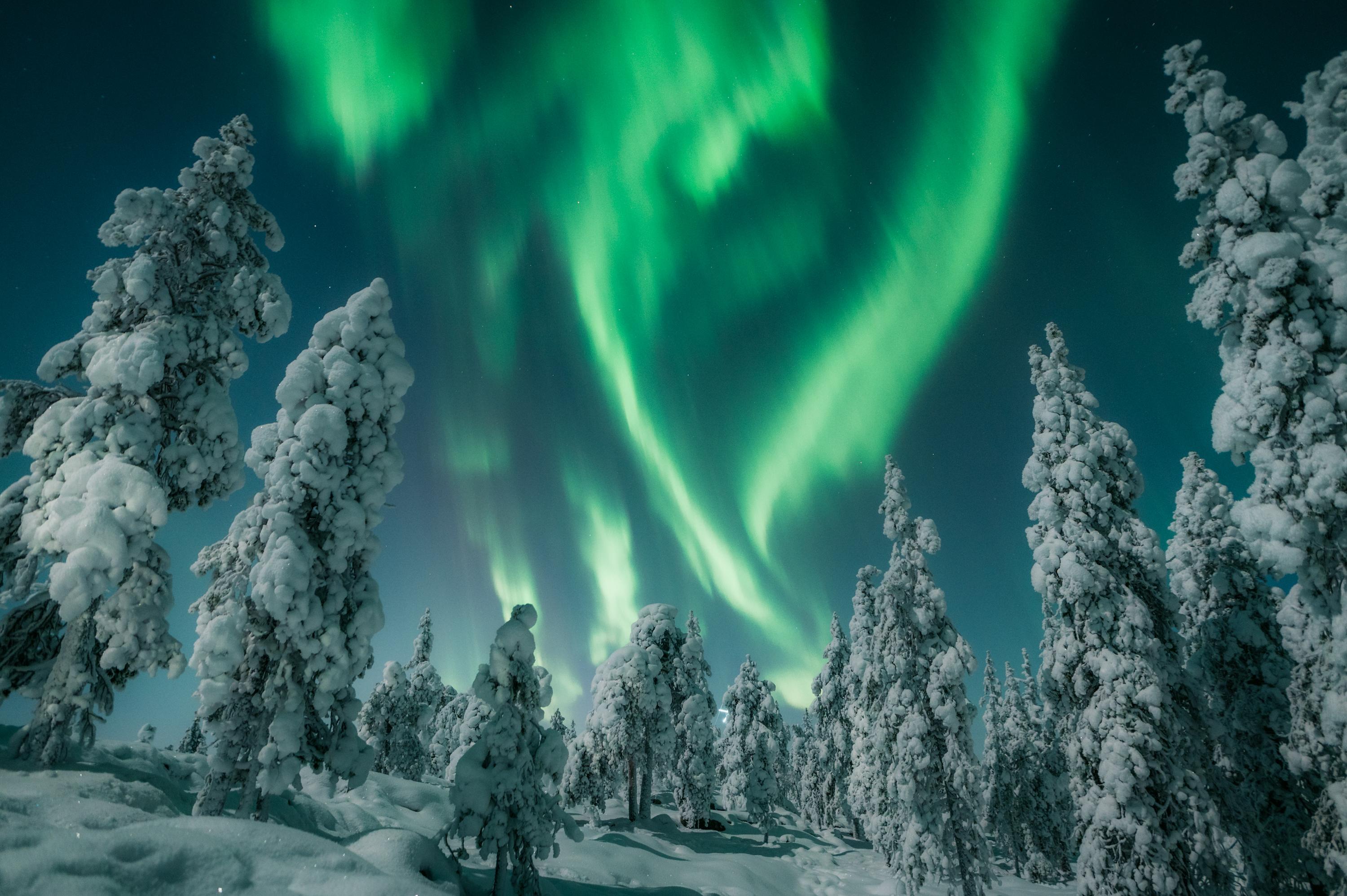 Lapland: Kuzey Işıkları, Rovaniemi ve Noel Baba Köyü