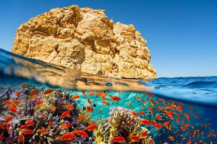 Sharm El Sheikh: Kızıldeniz’in Turkuaz Sularında Unutulmaz Bir Tatil