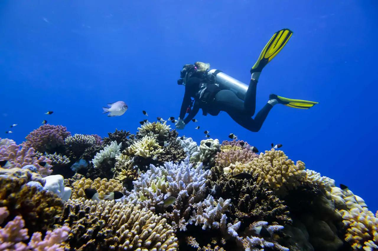 Sharm El Sheikh’te Kızıldeniz ve Çöl Maceralarının Buluştuğu Tatil