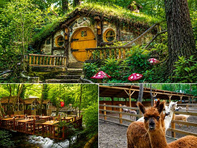 İkonik Masukiye Cam Teras Ormanya Hobbit Evleri Turu Günübirlik İstanbul Çıkışlı