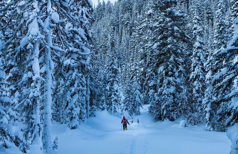 Elit İskandinavya Fiyordlar Turu THY ile 8 Gece Ekstra Turlar Dahil Kurban Bayramı Dönemi