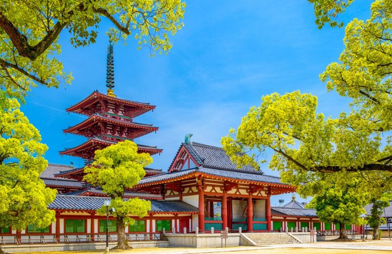 Elit Japonya Kore Turu THY ile 7 Gece Ekstra Turlar Dahil Sakura Dönemi