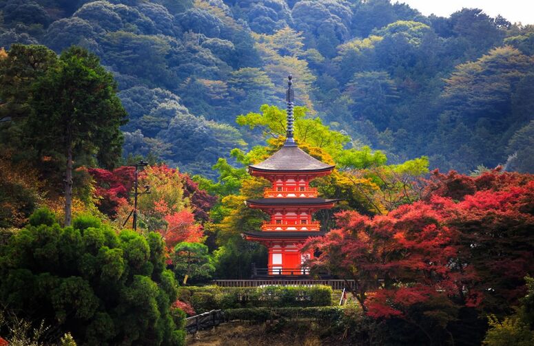 Elit Japonya Kore Turu THY ile 7 Gece Ekstra Turlar Dahil (ICN - HND)