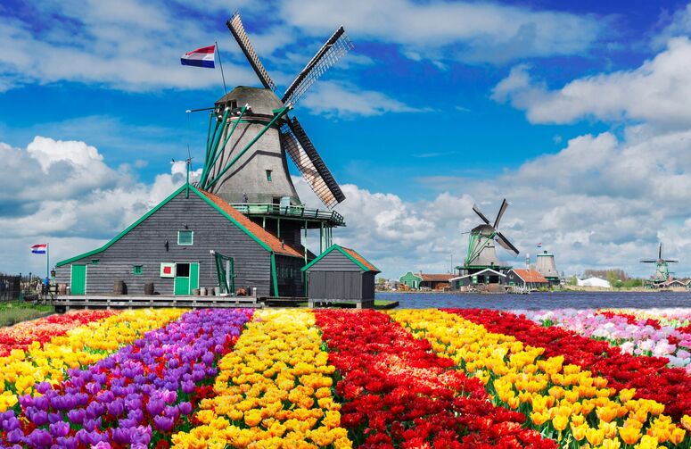 Kurban Bayramı Dönemi THY ile Elit Hollanda Amsterdam Turu - 4 Gece - Ekstra Turlar Dahil