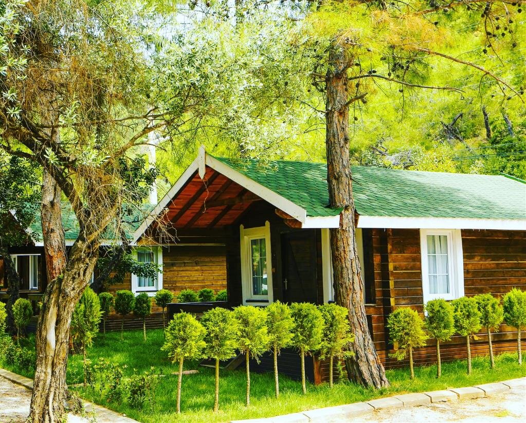 Green Pine Beach