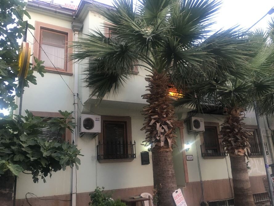 Cunda Deniz Yıldızı