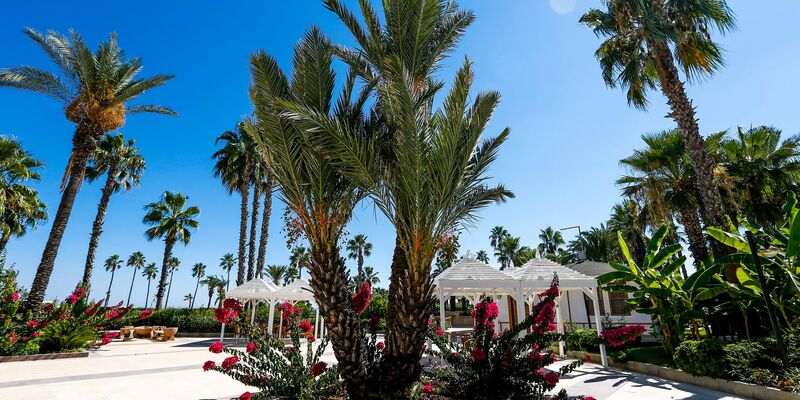 Adora Resort Hotel