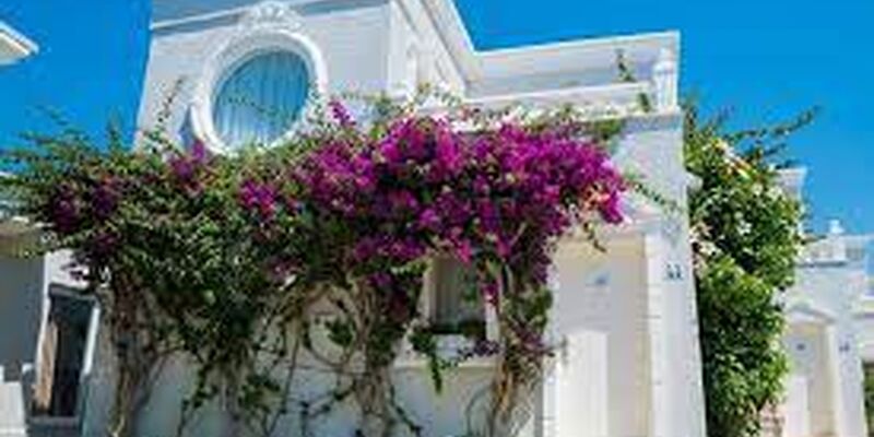 Art Suites Hotel Bodrum