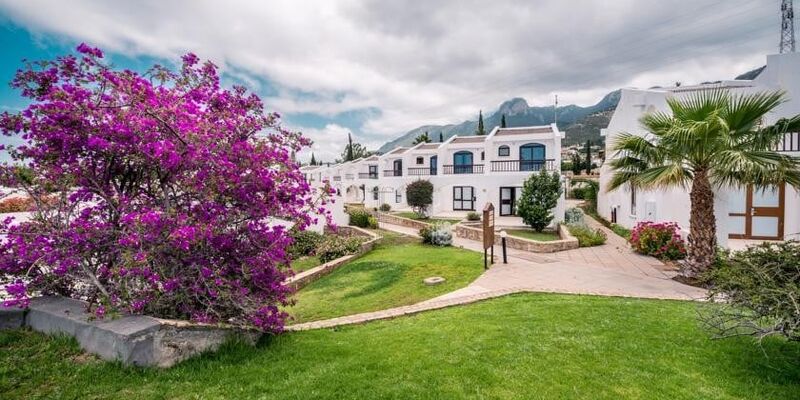 The Olive Tree Hotel