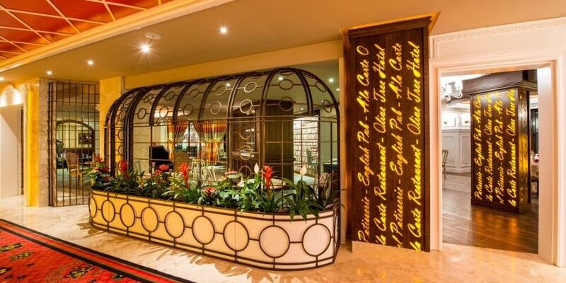 The Olive Tree Hotel