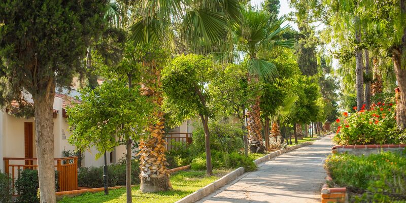 Pine Bay Holiday Resort