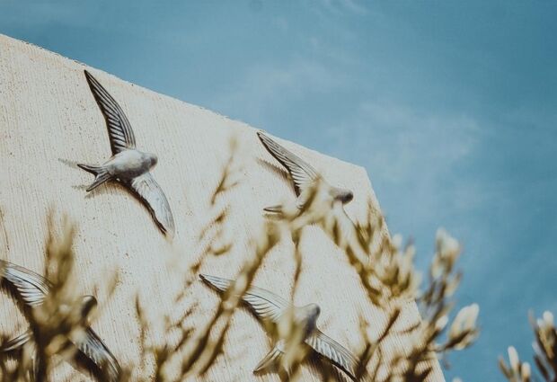 Kocadon Museum Hotel