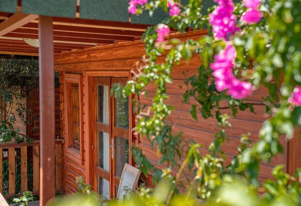 Felicity Hotel & Bungalows