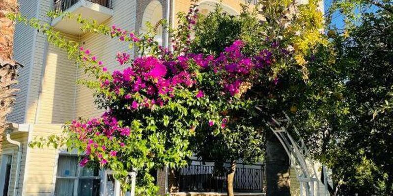 Felicity Hotel & Bungalows