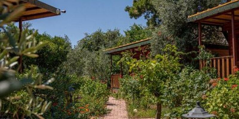 Felicity Hotel & Bungalows