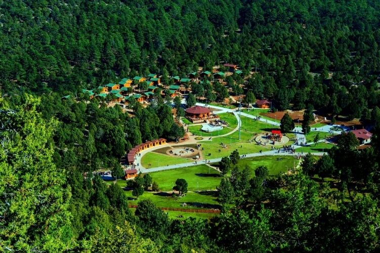 Bağbaşı Yaylası Bungalov Evleri