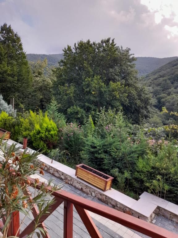 The Canyon Hotel & Resort