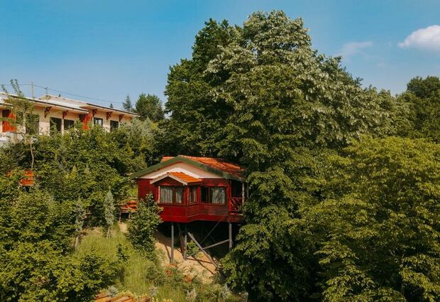 The Canyon Hotel & Resort