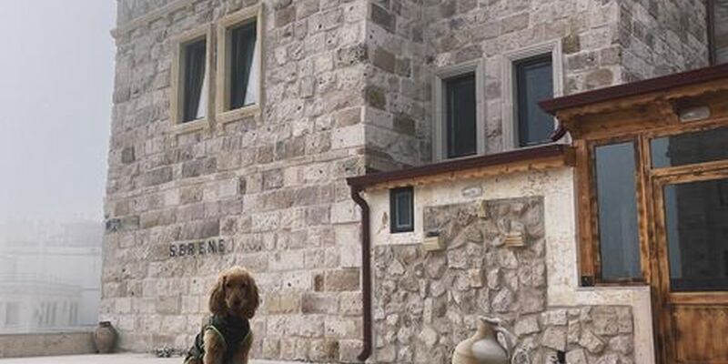 Serene Premium Stone House