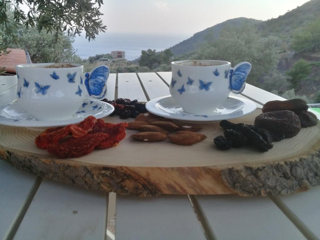 Mavi Kelebek Datça