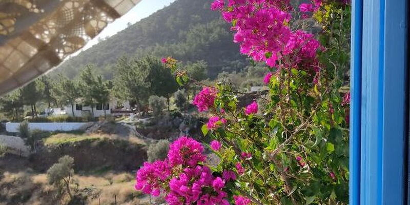 Mavi Kelebek Datça