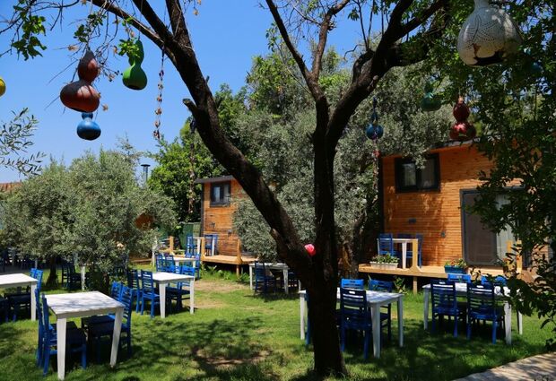 Zeytin Dalı Butik Otel & Beach