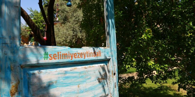 Zeytin Dalı Butik Otel & Beach
