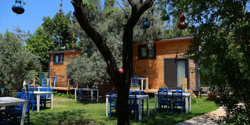 Zeytin Dalı Butik Otel & Beach