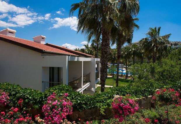 Arum Barut Collection