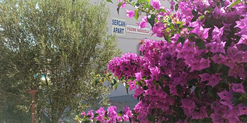 Sercan Apart