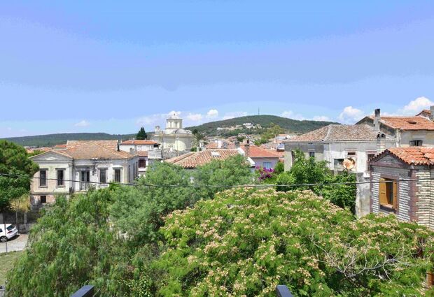 Siyah Lale Cunda 1841