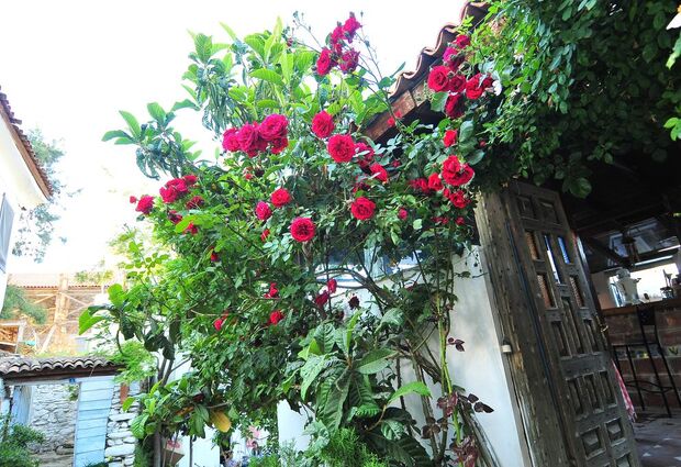 Kırkınca Evleri