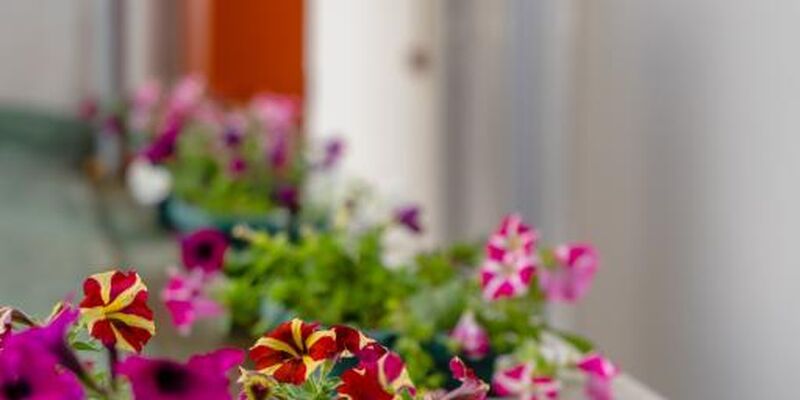 Mira Su Hotel Çamyuva