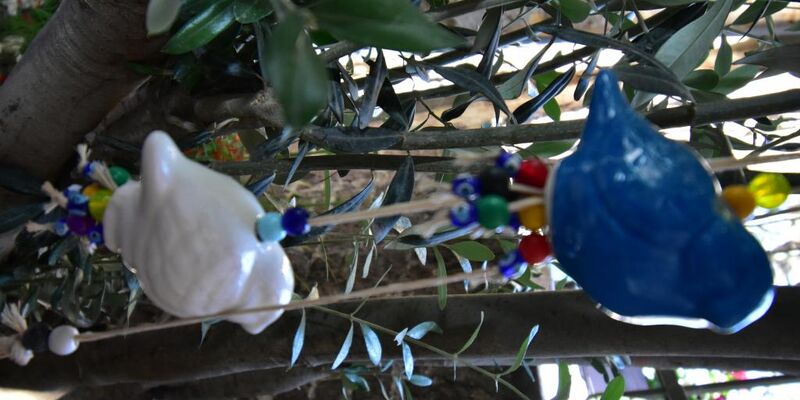 Olivia 1845 Guest House