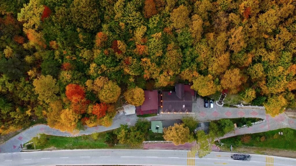 Abant Yayla Dağevi