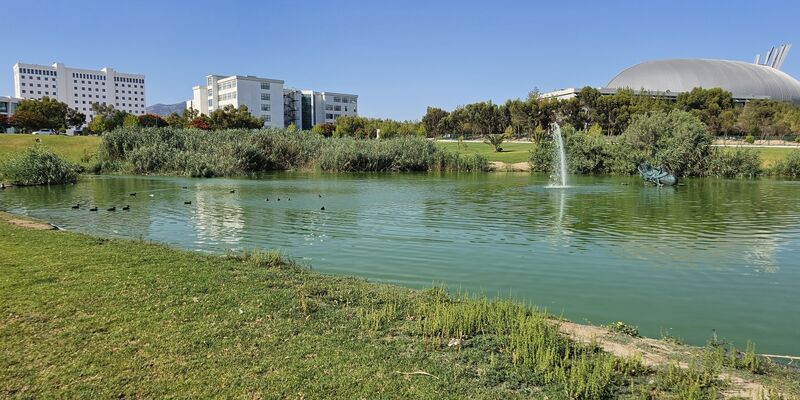 Dorana Residence