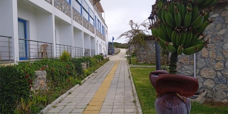 Ardıç Ağacı Tatil Köyü