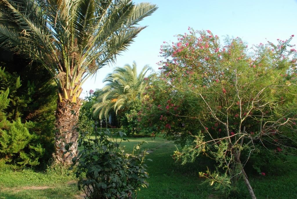 Anatolia Resort Hotel Çıralı