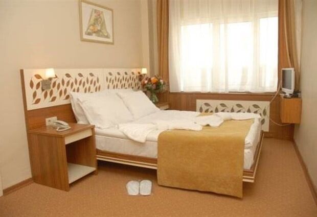 Tulpar Palas Hotel