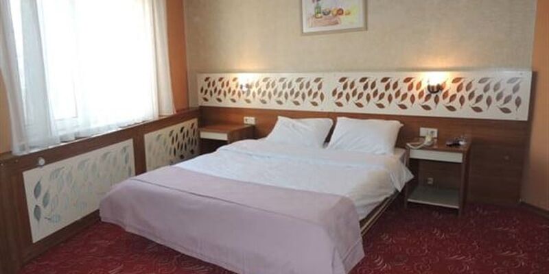 Tulpar Palas Hotel