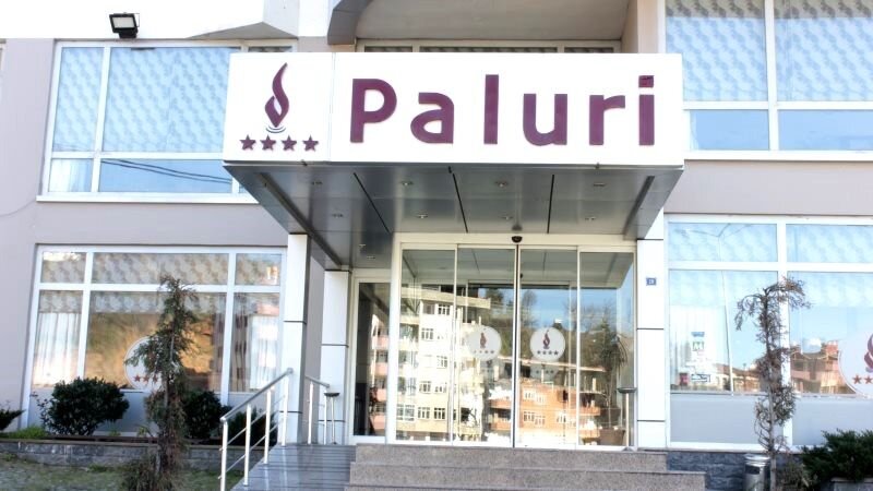 Paluri Hotel Artvin