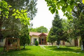 Alex Village Life