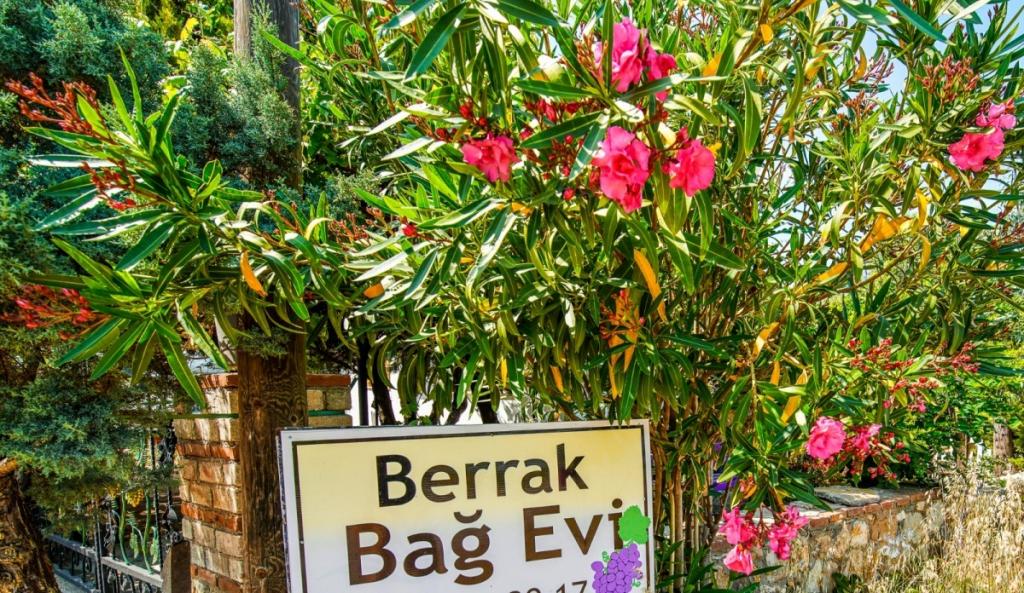 Berrak Bağ Evi