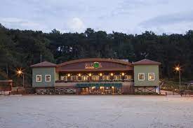 Padok Premium Hotel & Stables