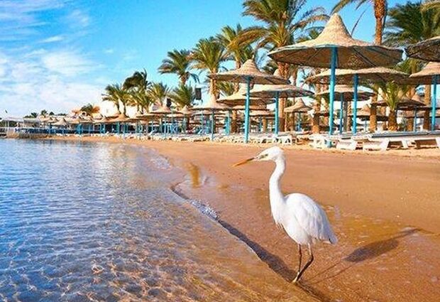 Yılbaşı Özel Antik Mısır Turu Rotası